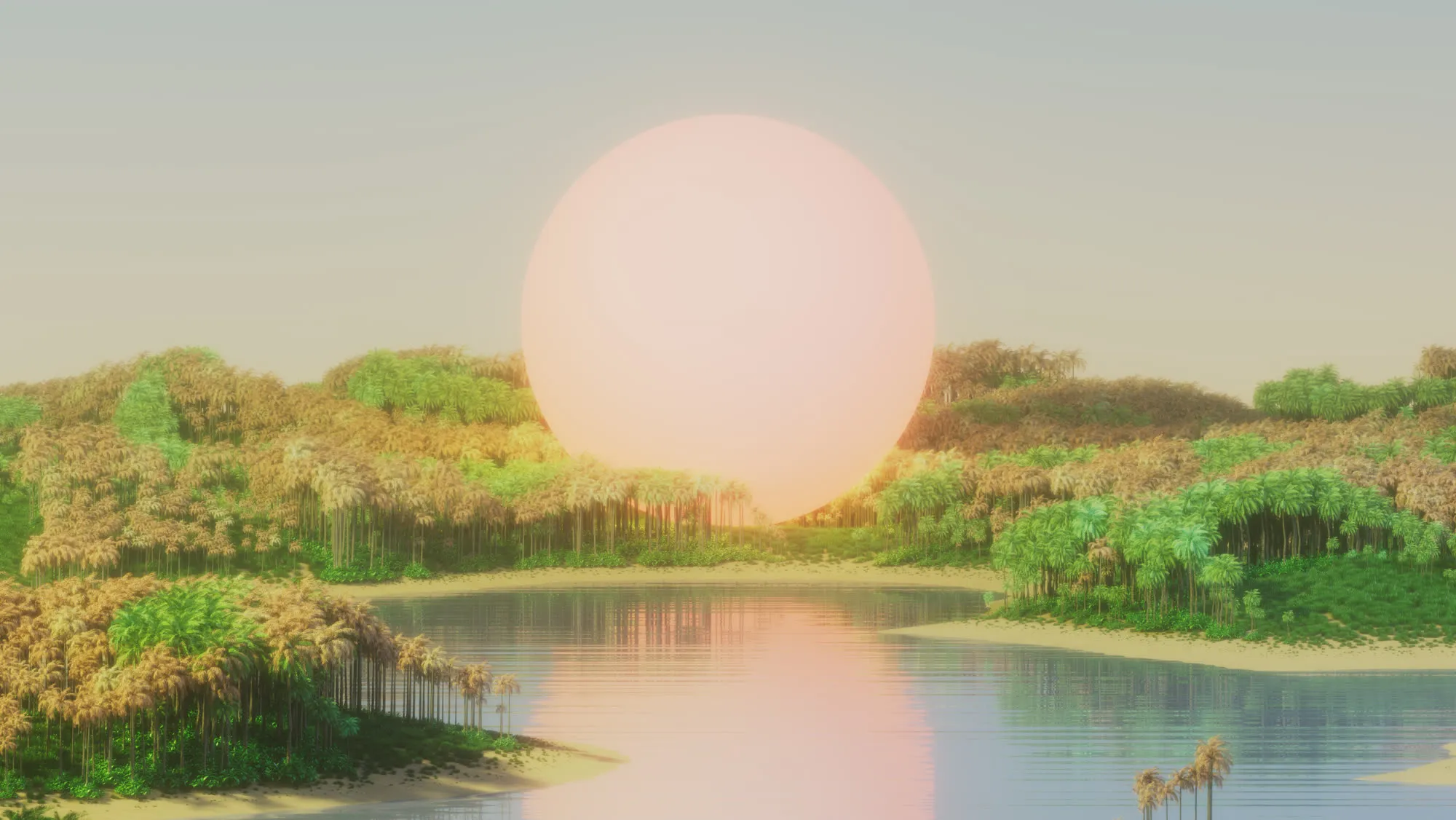 The key art at midday, the sun pale and high over the canopy